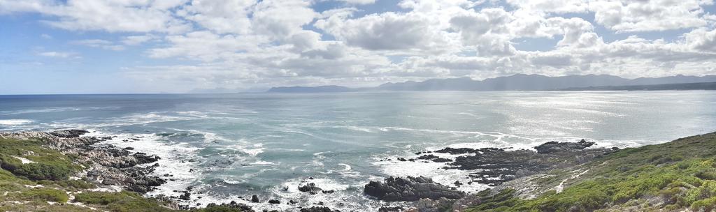 Whale Huys Luxury Oceanfront Eco Villa Gansbaai Exterior foto