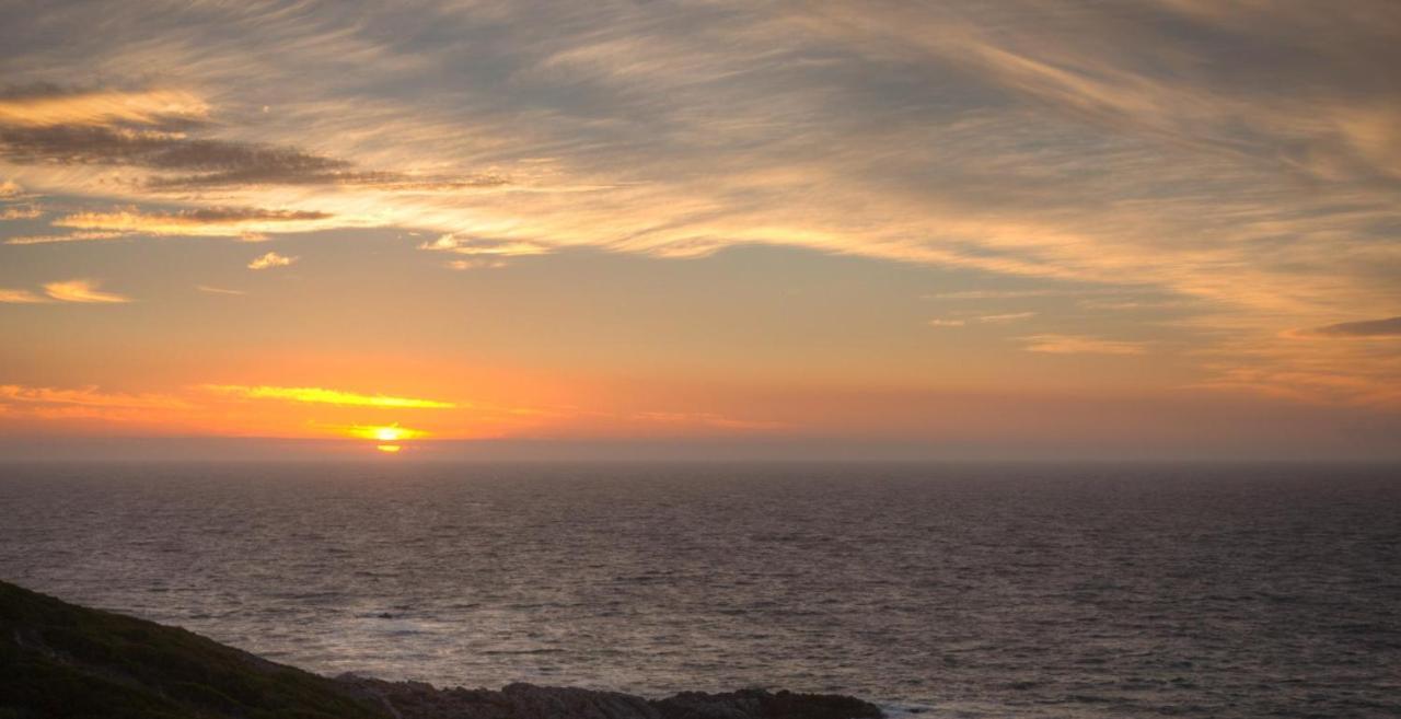 Whale Huys Luxury Oceanfront Eco Villa Gansbaai Exterior foto